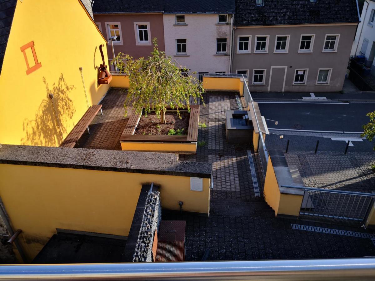 Mooi Ruim Appartement In Antieke Stadsboerderij Schönecken Exteriér fotografie