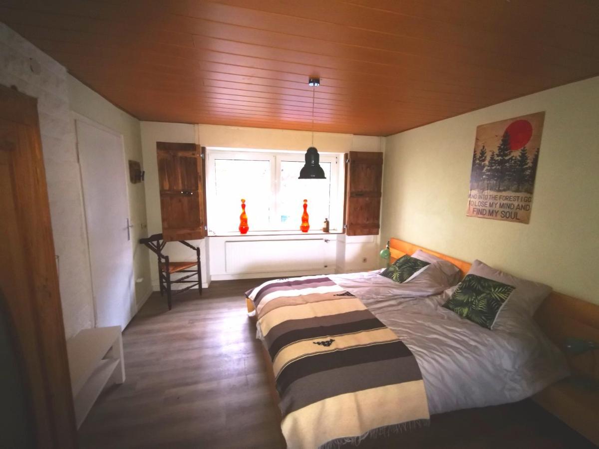 Mooi Ruim Appartement In Antieke Stadsboerderij Schönecken Exteriér fotografie