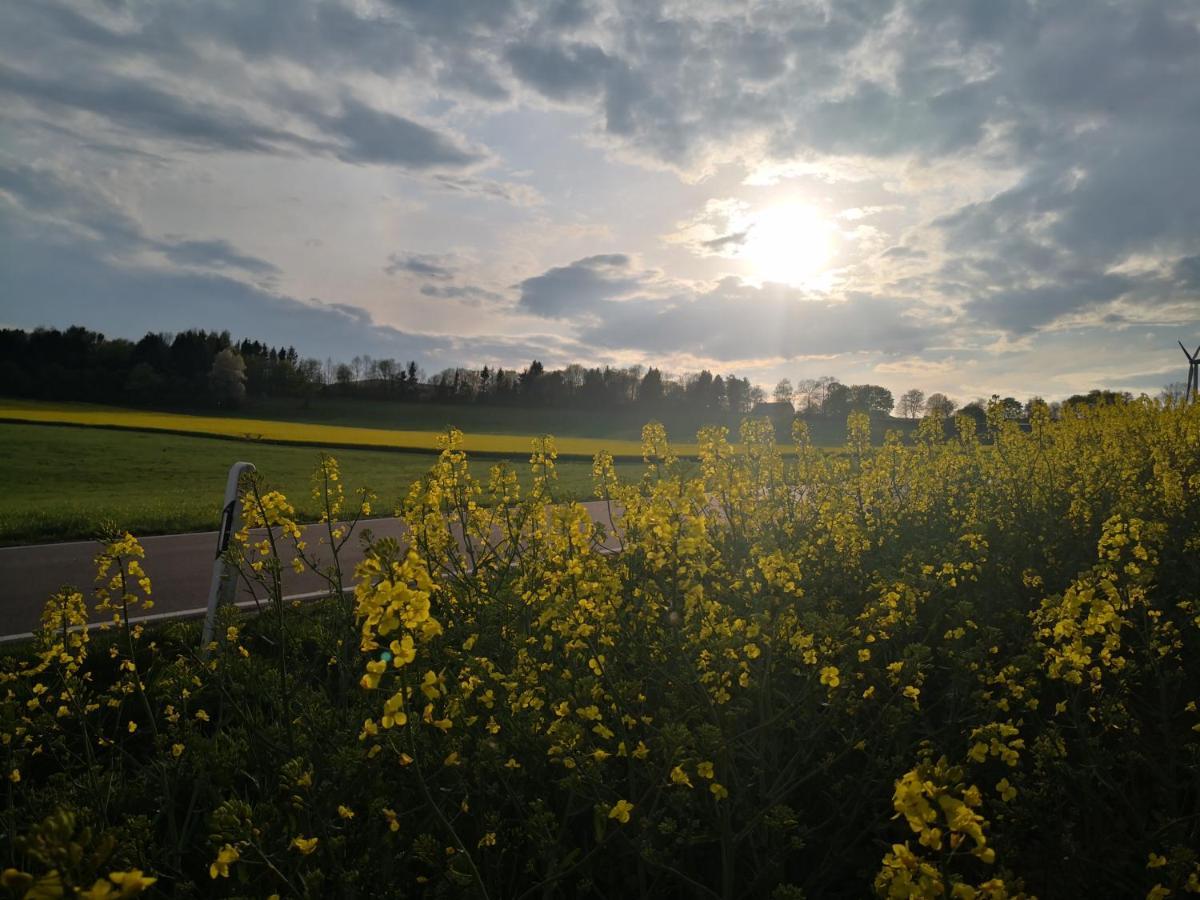 Mooi Ruim Appartement In Antieke Stadsboerderij Schönecken Exteriér fotografie