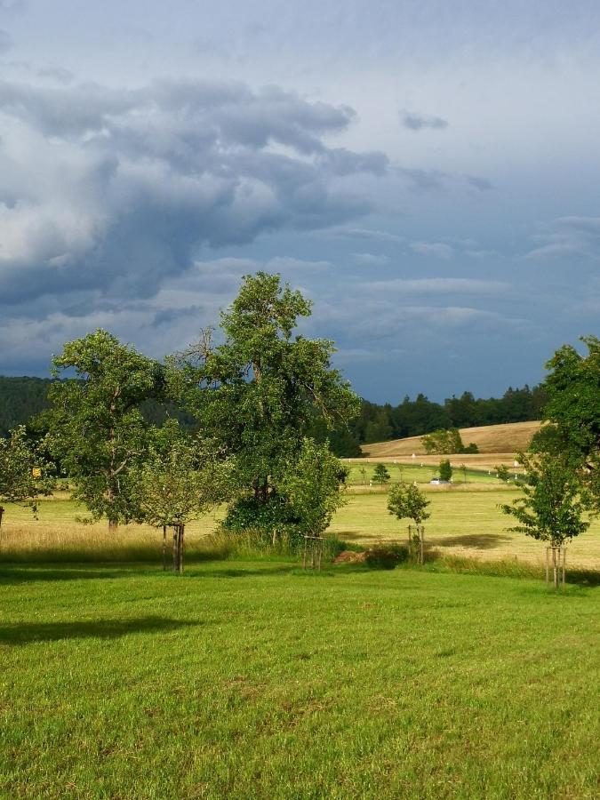 Mooi Ruim Appartement In Antieke Stadsboerderij Schönecken Exteriér fotografie