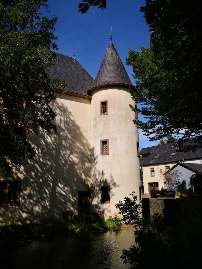 Mooi Ruim Appartement In Antieke Stadsboerderij Schönecken Exteriér fotografie