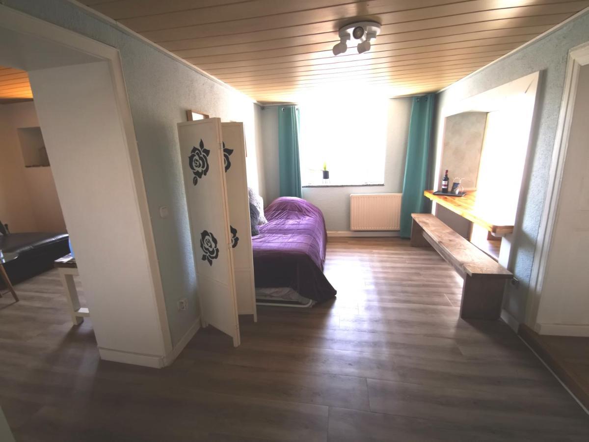 Mooi Ruim Appartement In Antieke Stadsboerderij Schönecken Exteriér fotografie